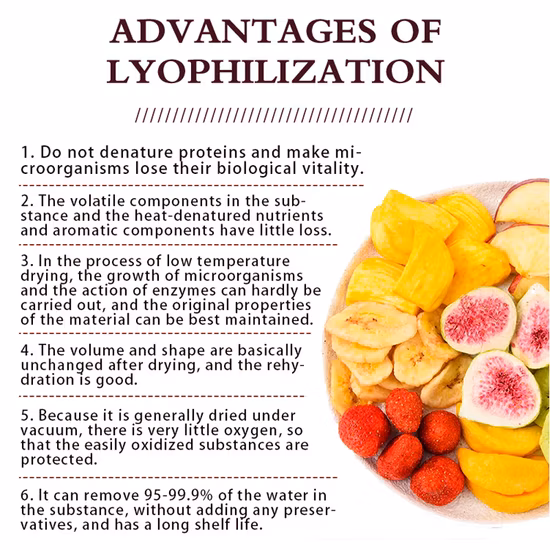 Attrezzatura per liofilizzazione/liofilizzazione di frutta e verdura Macchina per liofilizzazione
